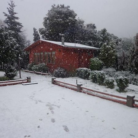 Puelche De Antuco Villa ภายนอก รูปภาพ